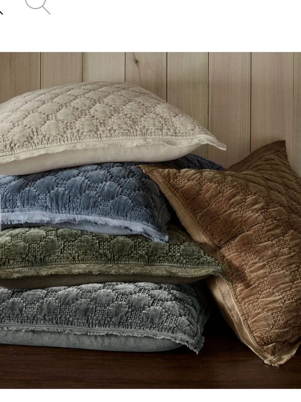 Pottery Barn euro sham